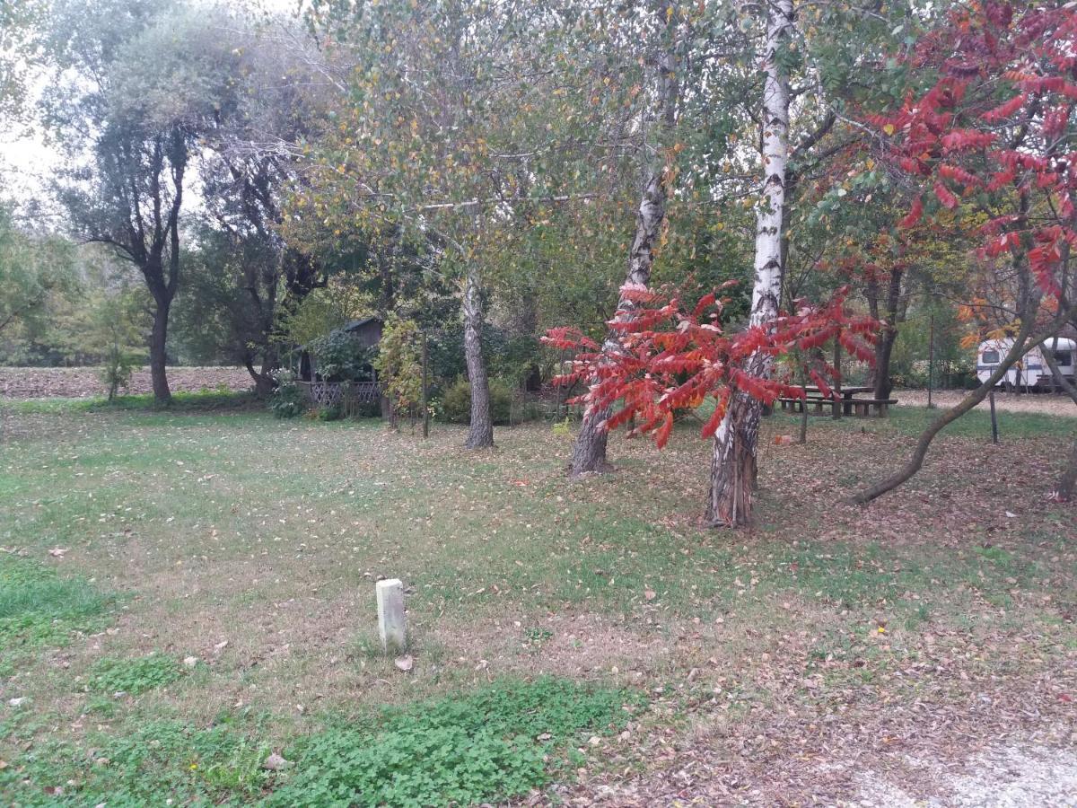 Apartment Smx